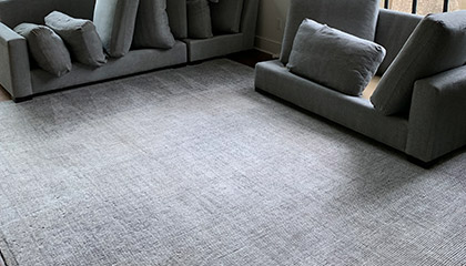 3 Reasons to Get Your Carpet Professionally Cleaned in Edison, NJ 3 Reasons to Get Your Carpet Professionally Cleaned in Edison, NJ